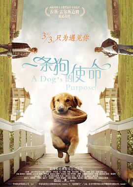 国产网站免费看