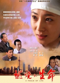 律师全系