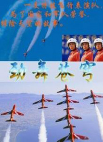 国内精品久久久久精品爽爽