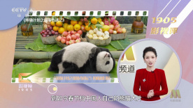 欧美日韩激情一区